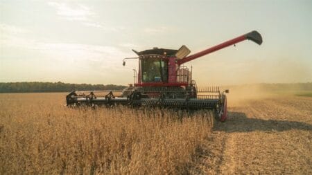 Produção global de soja cresce 1,62%