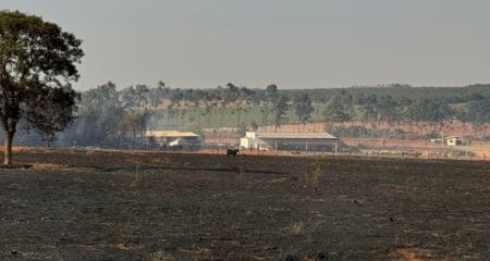 Incêndio no bairro Paineirinha deixa rastros de destruição em várias propriedades