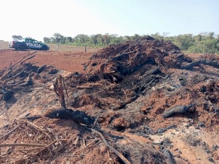 Arrendatário e autuado em mais de R$ 75.000.00 por queimada irregular, arma de fogo ilegal e contaminação do solo