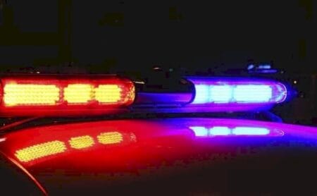 Homem é preso após matar cachorro a tiros em MS IVI NOTíCIAS/JD1 NOTÍCIAS