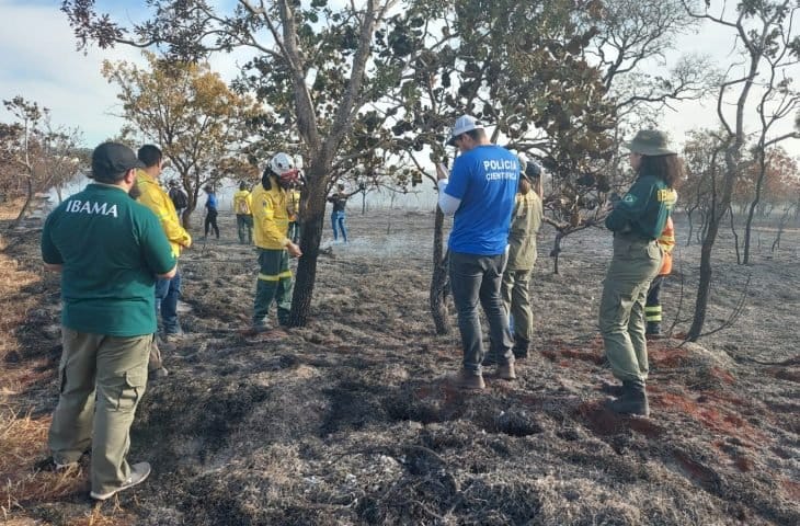 Peritos, bombeiros e PMA de MS passam por curso para identificar incêndios florestais criminosos.