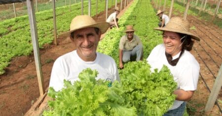 Seguro-desemprego para agricultor prejudicado por entressafra é aprovado