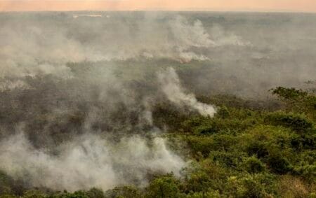 Sem chuva, norte do Pantanal segue com pequenos focos de incêndio Laboratório De Aplicações De Satélites Ambientais da UFRJ ide