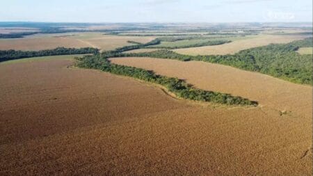 Governo de MS buscará indenizar produtores com áreas em terras indígenas