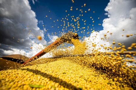 Estratégias para superar os desafios climáticos e assegurar o sucesso na lavoura de soja