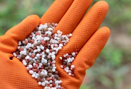 Mato Grosso do Sul registra queda de 24,5% nas importações de fertilizantes no primeiro semestre de 2024