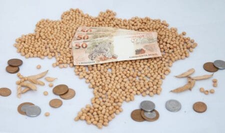 Veja como os preços da soja terminaram esta semana