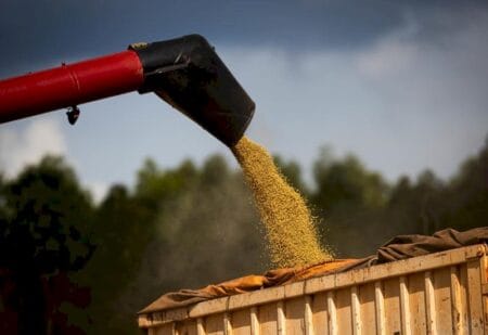 Soja e milho representam 74% do valor bruto da produção agrícola em MS