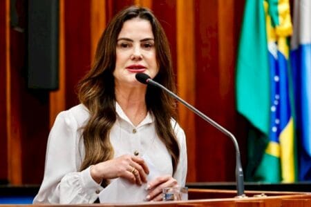 Mara Caseiro solicita reparo urgente em ponte sobre o Rio Miranda