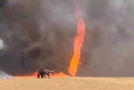 Após incêndio, replantio de cana-de-açúcar terá recursos do Plano Safra