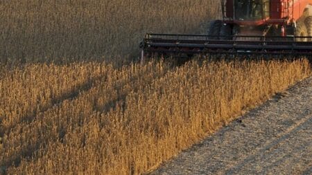 Brasil deve colher 169,9 milhões de toneladas de soja