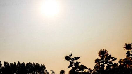 Com calor acima de 40°C, 13 cidades de MS enfrentam temperaturas extremas