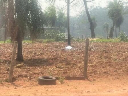 Nova Andradina: Corpo de homem é encontrado em plantação de mandioca