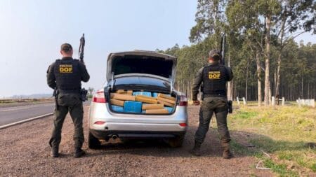 Veículo com uma tonelada de maconha é apreendido pelo DOF em MS