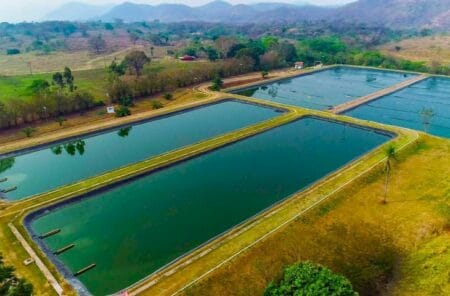 Sanesul preserva recursos naturais tratando 130 milhões de litros de esgoto por dia em MS BATANEWS/REDAçãO ASSESSORIA