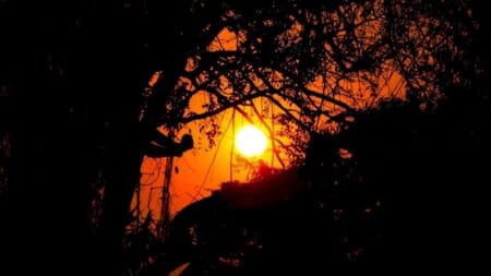 Primavera em Mato Grosso do Sul será de altas temperaturas e mais ondas de calor