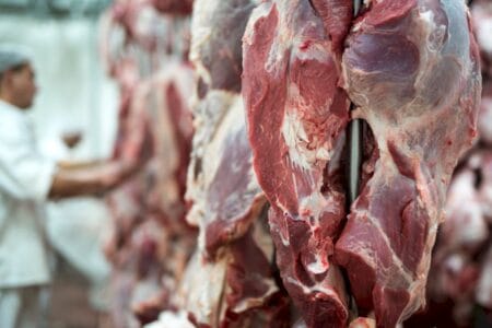Boi: expectativas se confirmam e preços da carne sobem no atacado