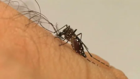 Noroeste Paulista registra aumento de casos e mortes por dengue