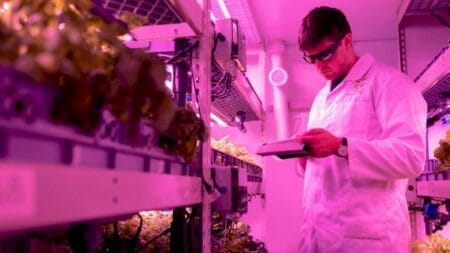 Urina reciclada: alternativa sustentável na agricultura