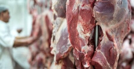 Valor médio de exportação de carne bovina dá salto de 42%