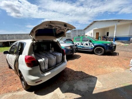 Polícia Militar Ambiental apreende maconha e prende traficante