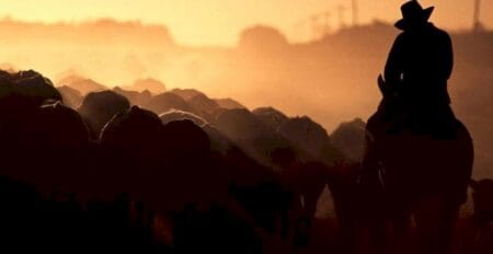 Brasil avança em mercados de carne dos EUA