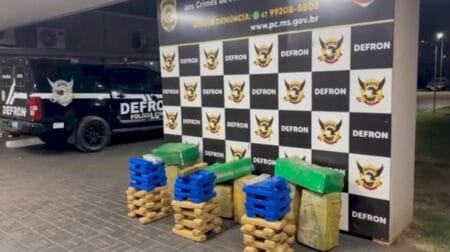 Quase 300 quilos de maconha são apreendidos em barracão usado como entreposto em MS