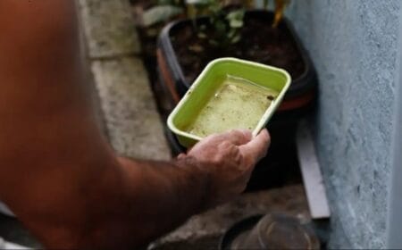 Boletim Epidemiológico: MS registra 15.927 casos confirmados de dengue