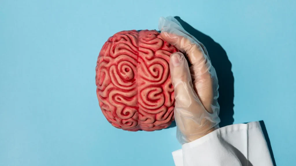 A criação de órgãos em laboratório no futuro da medicina