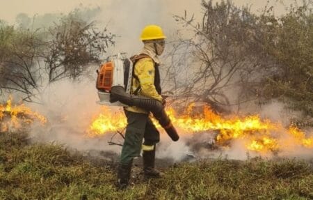 Incêndios devastam 1,6 milhão de hectares do Pantanal de MS