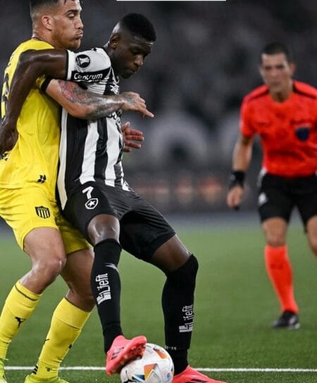 Botafogo goleia o Peñarol no Nilton Santos e encaminha final brasileira na Libertadores
