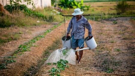 Desemprego no agro: taxa de desocupação no setor cai