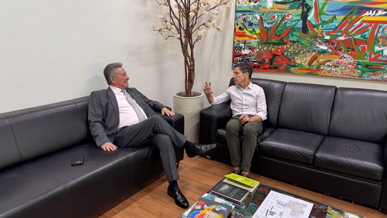 Infraestrutura no Vale do Ivinhema: Hashioka apresenta reivindicações à Seilog