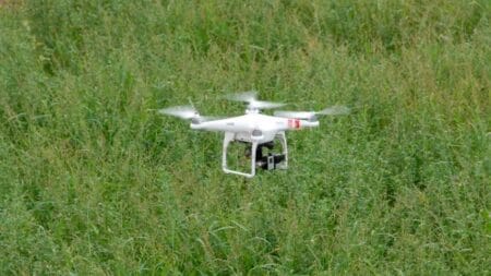 Tecnologia com drones otimiza manejo de pastagens