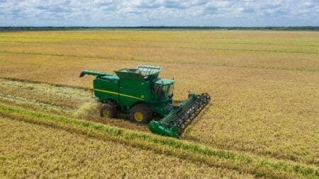 Tecnologia e clima favorecem safra recorde