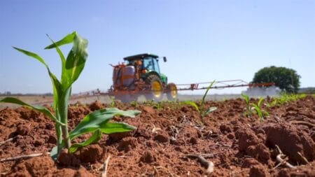 Produtos biológicos disputam preferência agrícola