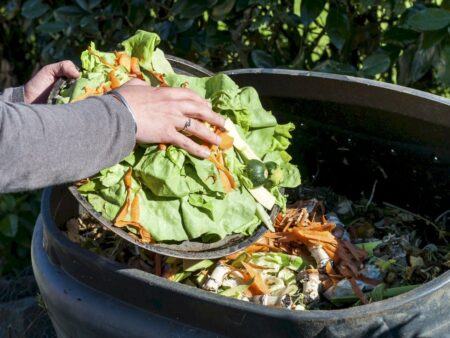 Papel do agro no combate ao desperdício de alimentos | Mundo Agro
