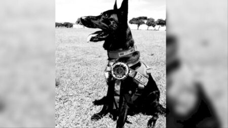 Pioneiro em buscas, Duke morre após 13 anos de dedicação no Corpo de Bombeiros