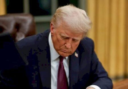 Trump ordena investigação sobre comércio de madeira que pode afetar Brasil