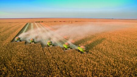 Agropecuária recua 3,2% em 2024 e impacta desempenho do PIB