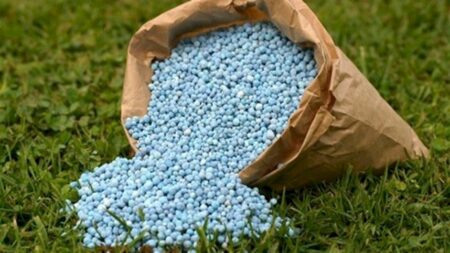 Desafios no acesso a fertilizantes
