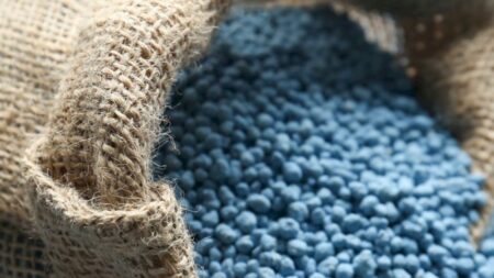 Como escolher o fertilizante ideal para cada cultivo