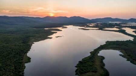 Senado pode elevar Pantanal do MS a patrimônio nacional nesta semana