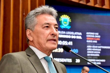 Sugerida por Hashioka, PEC para consagrar o Pantanal de MS como patrimônio nacional é aprovada no Senado