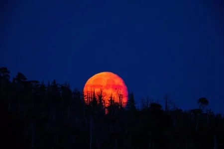 Quais os melhores locais no Brasil para ver o eclipse lunar desta semana?