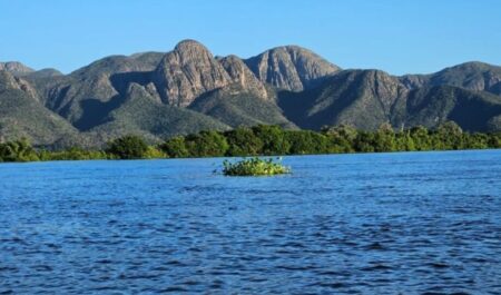 Governo federal confirma regularização de área de mais de 10 mil m² no Pantanal para ribeirinho