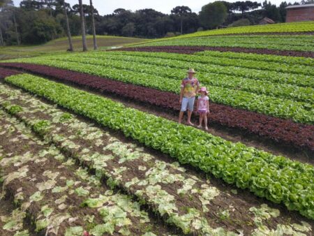 Agricultores familiares terão direito a seguro-desemprego em caso de perda de safra