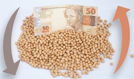Soja: alta de Chicago e queda do dólar impactam preços no Brasil