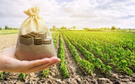 Crédito rural: Governo ‘fecha portas’ com tributação de títulos agrícolas