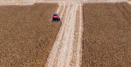Governo anuncia Plano Safra 25/26 em 30 de junho e primeiro de julho | Brasilagro